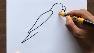 How to Draw a Parrot [upl. by Kacie]