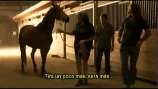 El Domador De Caballos · Jack Forest Holy y Mr Mum [upl. by Aserret604]