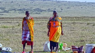 Masai Mara Sopa Lodge  Keekorok Lodge  Kenya [upl. by Inaffit]