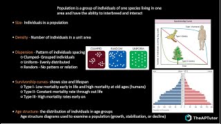 AP Biology Unit 8 Ecology Complete Review [upl. by Ahseiym]