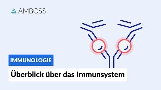 Überblick über das unspezifische und spezifische Immunsystem  Immunologie  AMBOSS Video [upl. by Baras]