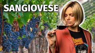 Wine Grapes 101 SANGIOVESE [upl. by Elleira708]