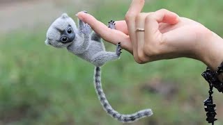 10 Cutest Exotic Animals In The World [upl. by Accebar292]