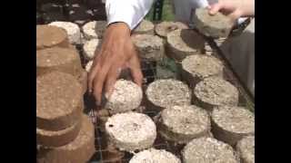 FOST briquette making process [upl. by Nunciata718]