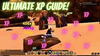 AQ3D Ultimate XP amp Class XP Guide FAST EXP AdventureQuest 3D [upl. by Annirtak]