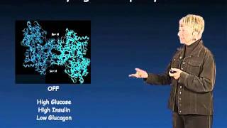 Susan Taylor UCSD Part 1 Protein Phosphorylation in Biology [upl. by Phaedra]