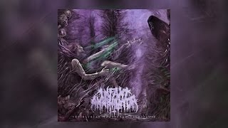 Infant Annihilator  The Elysian Grandeval Galèriarch OFFICIAL ALBUM STREAM W LYRICS [upl. by Gassman]