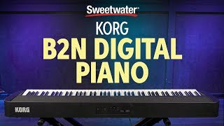 Korg B2N Digital Piano Demo amp Sounds [upl. by Sybila]