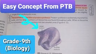 Ribosomes  Structure and Functions of Ribosomes  Class 9th  Biology  Chapter4 [upl. by Ezaria835]