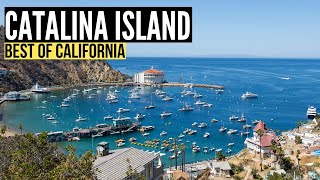 Things To Do in CATALINA ISLAND California Travel Guide amp Vlog [upl. by Tatianas]