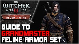 WITCHER 3 Grandmaster FELINE Armor Set GUIDE ► Diagrams Locations Crafting Stats Appearance [upl. by Aniuqahs]