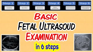 HCL Learning  Embryonic Development in Humans [upl. by Lesslie]