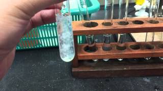 Cation Test Zinc Ions [upl. by Nolahc]