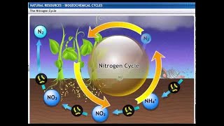 CBSE Class 9 Science Natural Resources 2 Biogeochemical Cycles [upl. by Dorison]