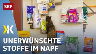 Katzenfutter im Test Gesundheitsgefährdende Stoffe im Katzennapf  2018  Kassensturz  SRF [upl. by Nylesoy]