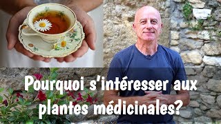 Pourquoi sintéresser aux plantes médicinales [upl. by Salamanca]