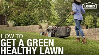 Lawn Care 101 How to Weed Seed Feed Mow amp Water [upl. by Whall]