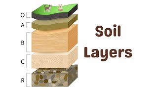 Soil Horizons Explained [upl. by Cummings]