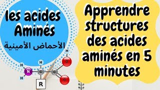 Les structures des acides aminés [upl. by Ahsier]