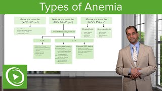 Anemia Microcytic Normocytic amp Macrocytic Type – Hematology  Lecturio [upl. by Warford]