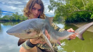 Shark Fishing Logan River  DEADLY Australian BULLSHARK Pt2 [upl. by Karlotta]