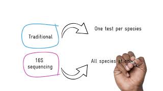 What is 16S sequencing [upl. by Blancha]