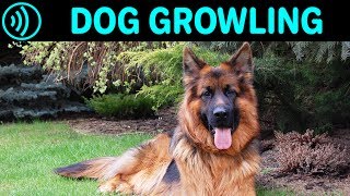 DOG GROWLING SOUND EFFECT  Big German Shepherd Dog Growling Noise  Free Sound Effects Download [upl. by Adnawaj]