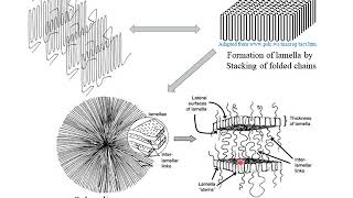 Polymer Crystallization [upl. by Eilyak]