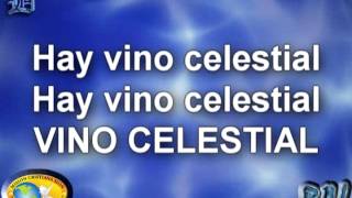 Vino celestial Miel San Marcos letra [upl. by Eolcin509]