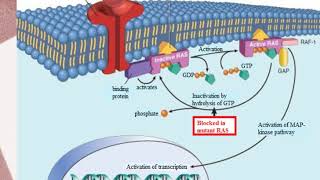 Topic 52 Cervical Disease and Neoplasia [upl. by Kasevich]