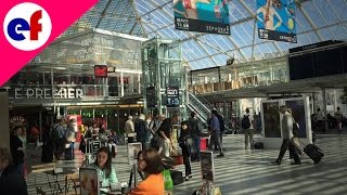 Gare De Lyon Train Terminal in Paris  Explore France [upl. by Rodge]