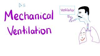 Mechanical Ventilation  Most COMPREHENSIVE Explanation 🤫 [upl. by Gris623]