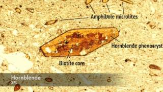 Hornblende vs Biotite under PPL and XPL [upl. by Annaj]