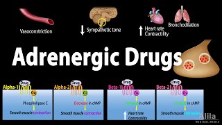 Adrenergic Drugs  Pharmacology Animation [upl. by Ettenaj517]