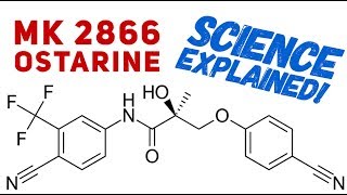 Ostarine Science Explained  Science Behind Ostarine  MK2866  SARMs  Enobosarm [upl. by Hildebrandt]