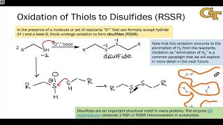 0303 Oxidation Reactions of Thiols [upl. by Ojyram873]