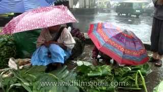 Cherrapunji Market with fresh fruit and LOTS of rain and umbrellas [upl. by Esina284]