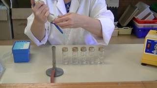 How to create serial dilutions [upl. by Aikar978]