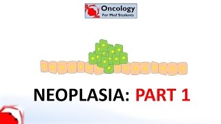 Basics of Neoplasia – Cellular Pathology  Lecturio [upl. by Eirrab]