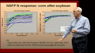 How to Properly Apply Nitrogen Fertilizer [upl. by Boccaj]