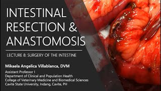 Lecture 83 Intestinal Resection and Anastomosis [upl. by Shanon]