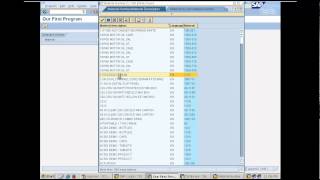 Creating our first report program in SAP  Day 4 [upl. by Llywellyn]