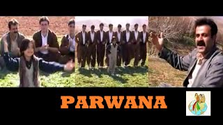 Parwana  Kurdish Music Halparke [upl. by Ley]