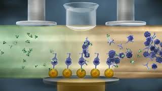 How Electrochemiluminescence ECL Works [upl. by Dasha]