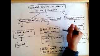 Polyuria polydipsia differential diagnose Diabetes mellitus diabetes insipidus psycho polydipsi [upl. by Ahseenal]