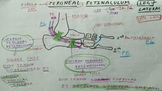 Introduction to Imaging of the Wrist [upl. by Rowland]