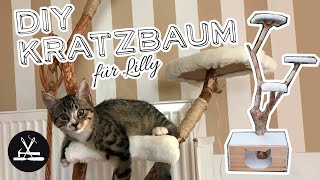 Kratzbaum selber bauen DIY Katze [upl. by Sabec]