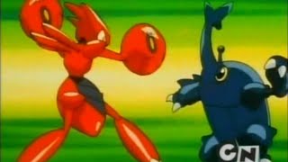 Pokémon Heracross vs Scizor AMV [upl. by Nnairol]