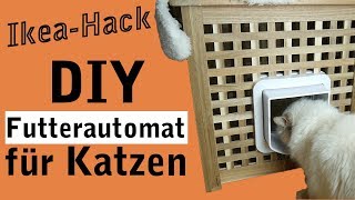 Futterautomat für Katzen selber bauen  DIY IKEA HACK [upl. by Merow]