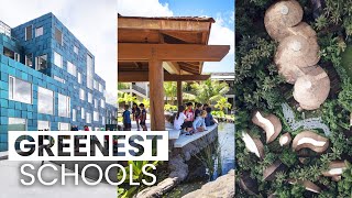 The Most EcoFriendly Schools  Green Schools Around the World [upl. by Lola]